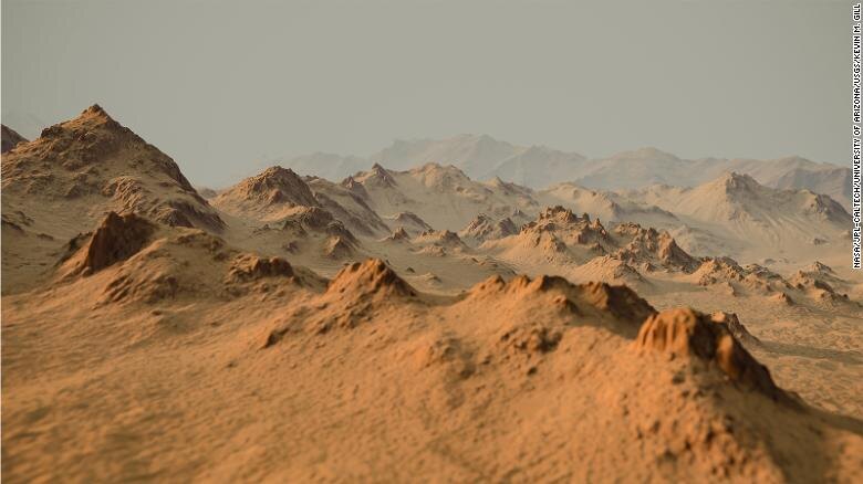 «Я не знаю, что бы мы делали без них!» говорит Хансен-Кохарчек. «За последние два года мы стали полагаться на них ... как на важных членов нашей виртуальной команды».
