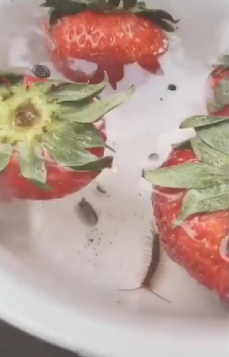 Авторское фото 1 ПЕРВЫЙ ПОЛЕЗНЫЙ