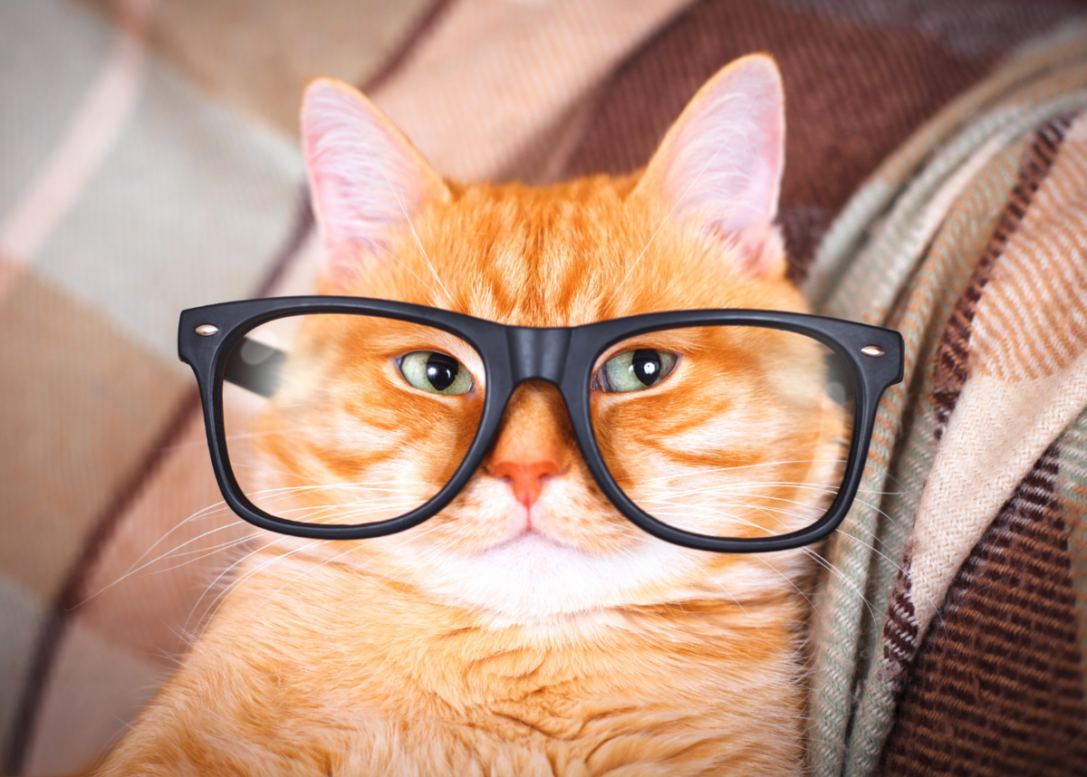 Нууус, внимательно слушаем