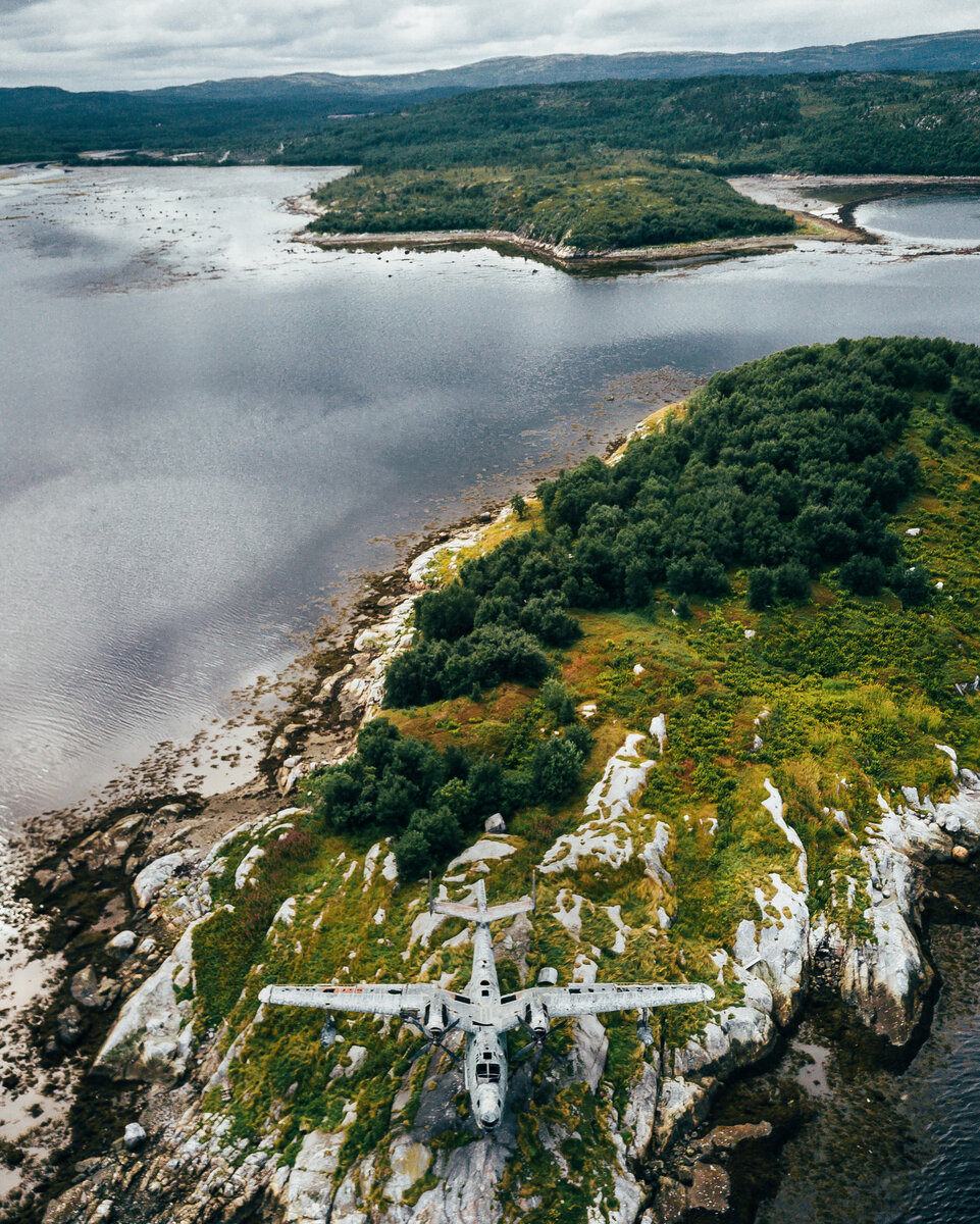 Самый красивый музейный экспонат