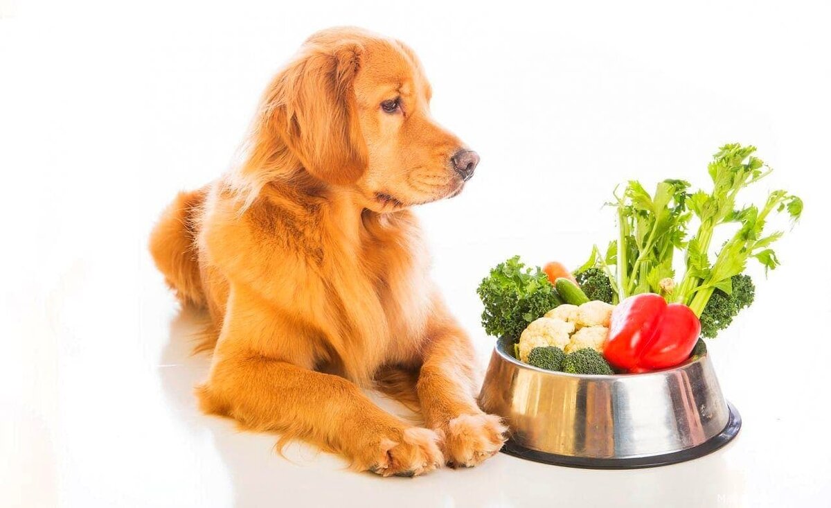 фото из открытого источника