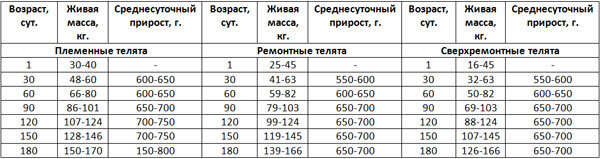 Сколько весит теленок: таблица по месяцам, …