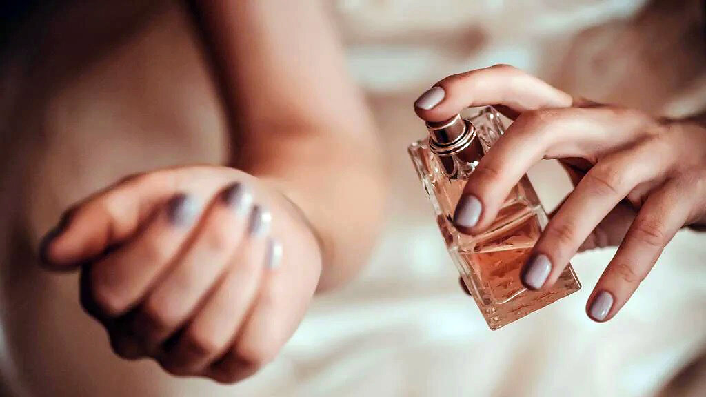 Фото взято из открытых интернет источников.