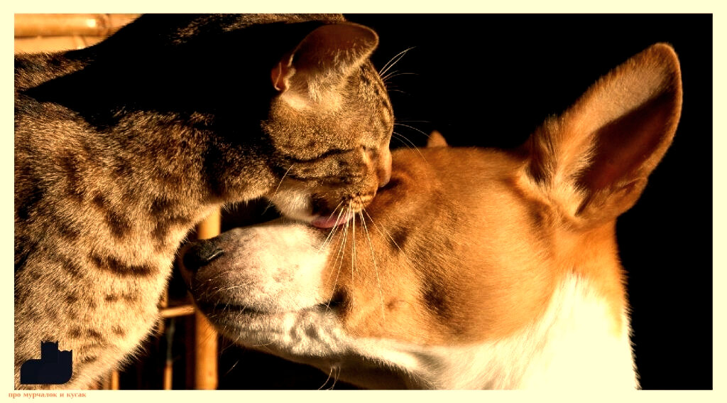 Давай дружить