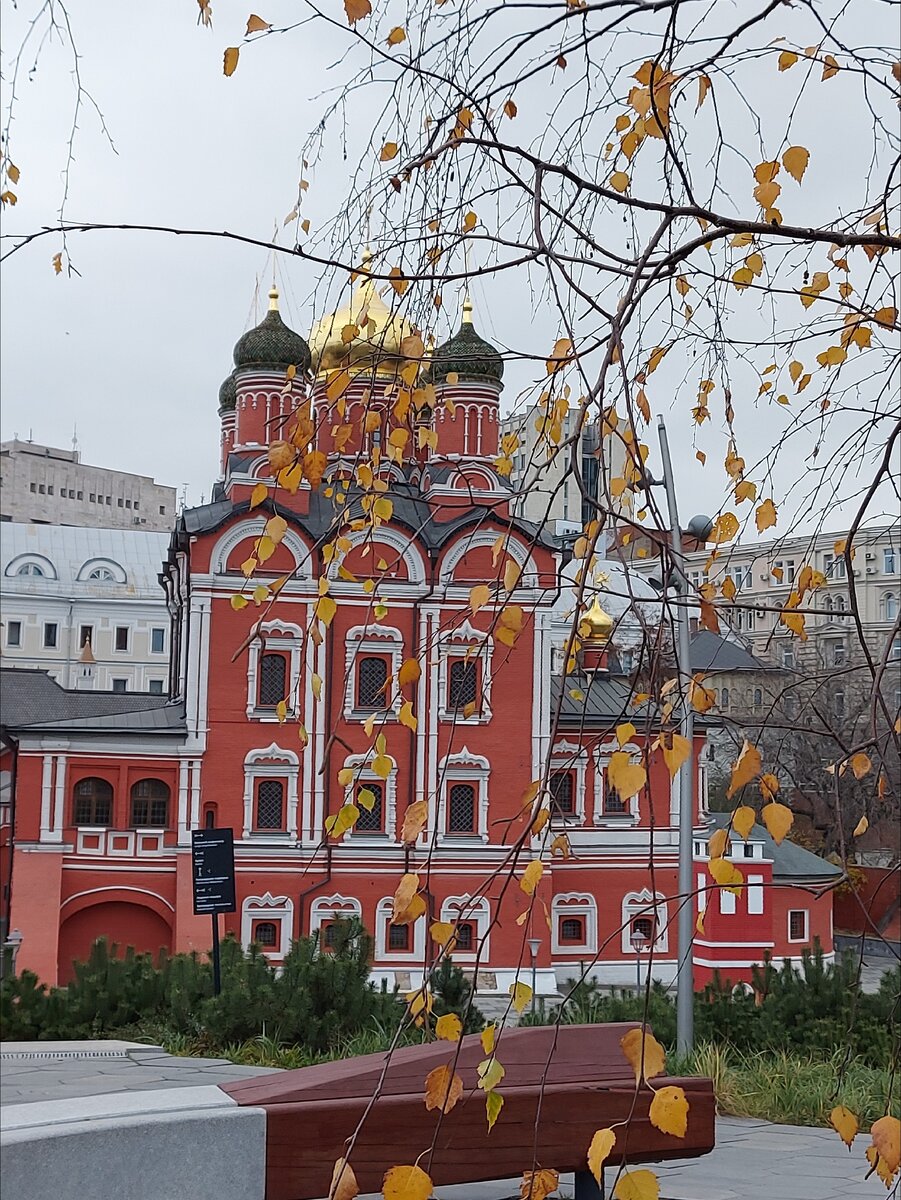 Просто осенняя картинка с нашей недавней прогулки