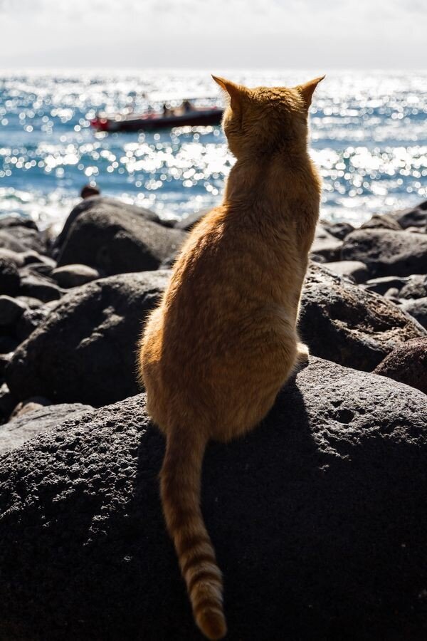 Источник: https://www.pinterest.ru/