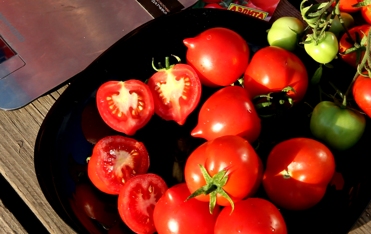 Se puede congelar el tomate crudo