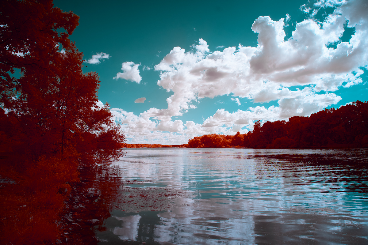 Пример цветового контраста