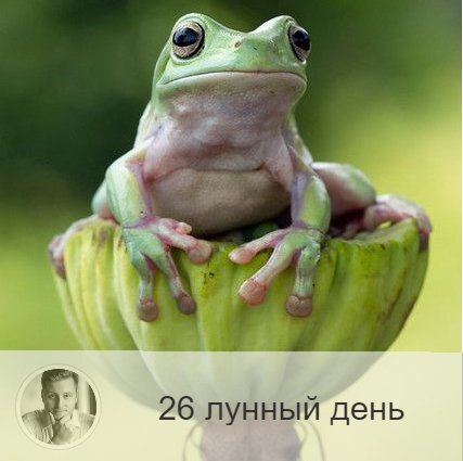 Подписывайтесь и ставьте 👍
26-ой лунный день с 03:48 11-ого по 05:21 12-ого. 🐸 Символы дня – жаба, болото.
🌚 Это достаточно критический день. В этот день люди суетятся, ругаются, тратят много энергии на пустое времяпрепровождение. Надо воздержаться от активной деятельности, стараться молчать и не тратить энергию ни на какие дела. В этот день хорошо поститься. Желательно обращение к учителю, традиции, необходимо отсечения ложных личных связей и контактов. Нужно ввести избирательность в общение на уровне интуиции. Следует стремиться к познанию жизни и худшего в людях, срывать все маски. В противном случае над вами будут глумиться и использовать в корыстных целях.
⚠ Если в этот день, выходя из дома, вы встретите человека с полными сумками, то это значит, что вы идёте по жизни правильно, и наоборот. Если в этот лунный день во сне или наяву увидеть молнию, то это значит, что у вас не укрощены гордость и тщеславие.
🎂 Люди, рождённые в этот день, призваны молчать, давать обеты, соблюдать аскетизм.
💍 Камень – нефрит.
💊 Процедура дня: очищение кожи лица.
📿Практика дня: критика собственного успеха и достижений.
💤 Если во сне вы увидели себя успешным и процветающим, необходимо понизить собственное самомнение, если, наоборот, приснилось, что вы несчастны и никому не нужны — срочно повышайте самооценку.

—————

Будь в теме всего самого интересного! Выбирай в меню «•••» и «Уведомлять о новых записях»🕺