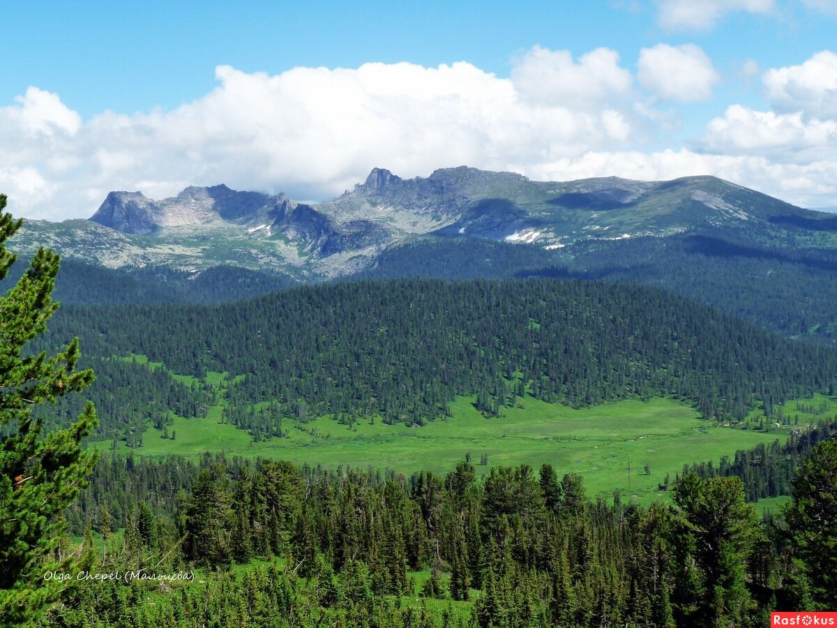 Тайга красноярск. Тайга Ергаки. Тайка Красноярского края. Природа Красноярского края Тайга.