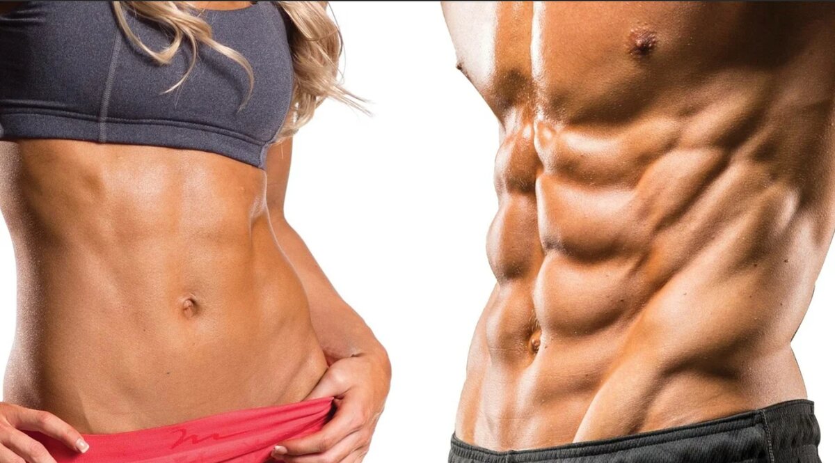 Эти мышцы делают торс атлетичным даже без большой массы: наружные косые