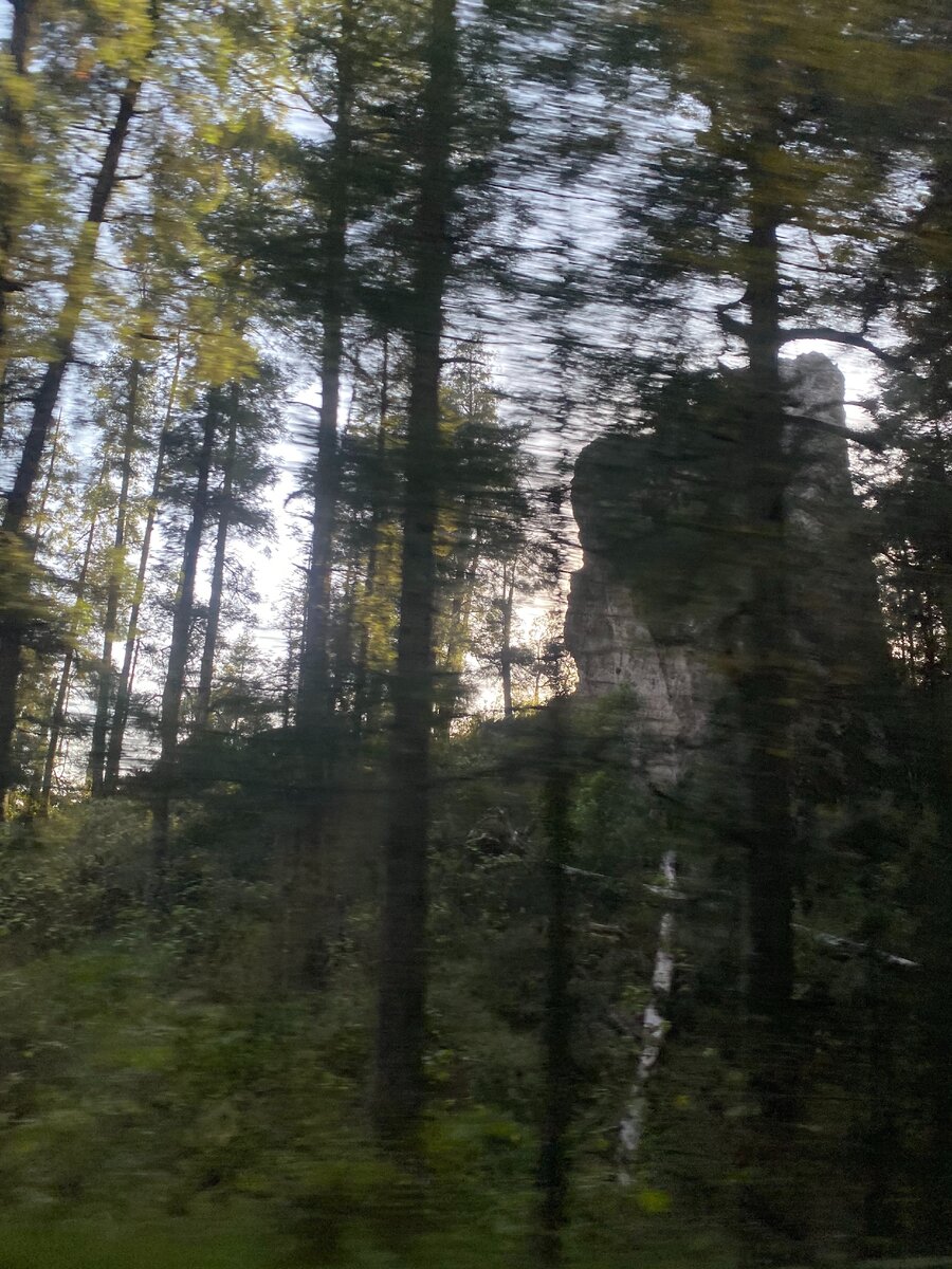 Вид из окна машины, очень красивый путь через лес. Удивительная Мексика.