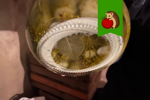 Белый осадок на дне банки с огурцами: отчего появляется и можно ли есть такие овощи?0