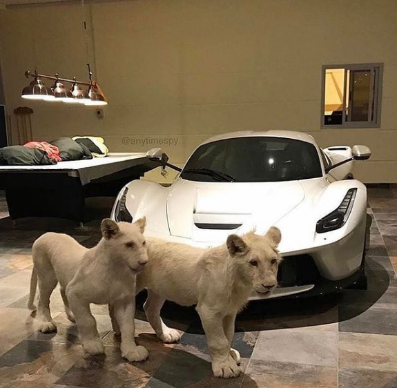 Проверим, что важнее, душа или машина?