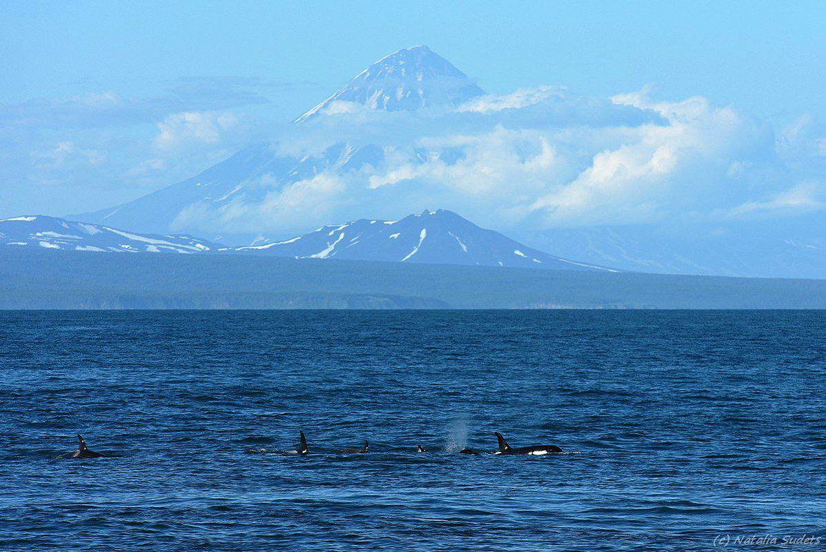 Камчатское море
