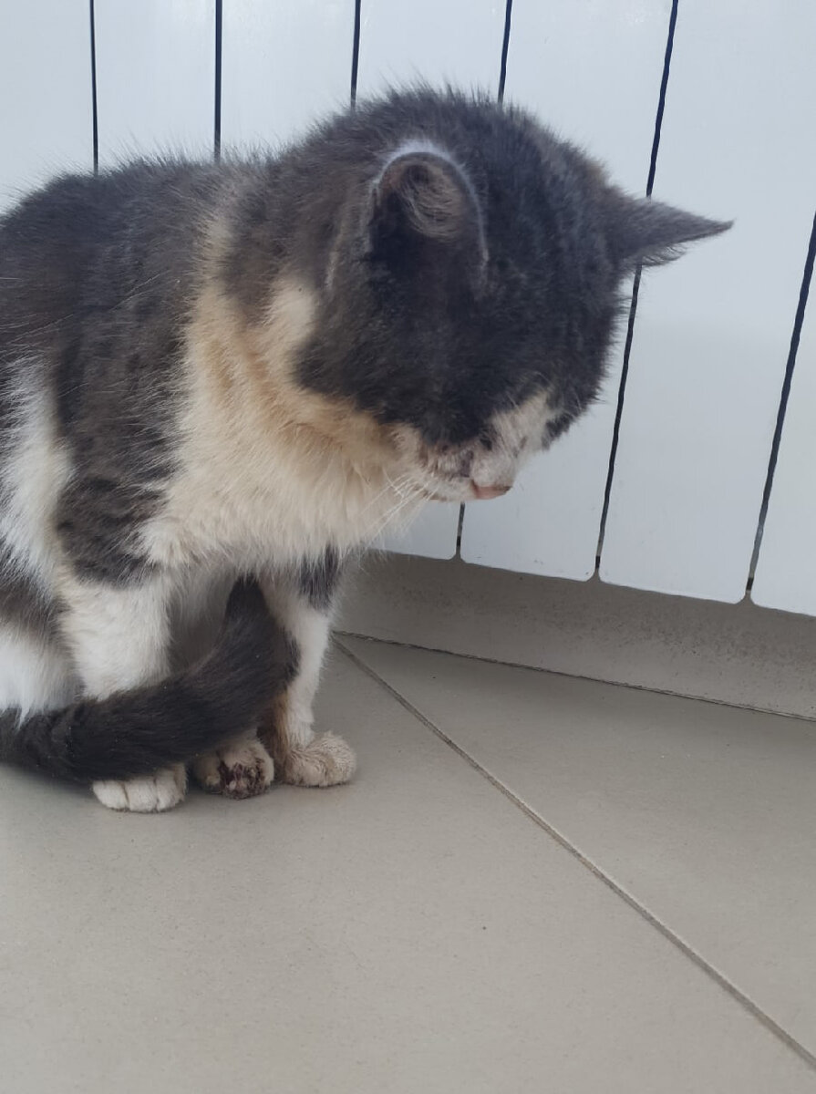 Забудь заботы и держи трубой хвост