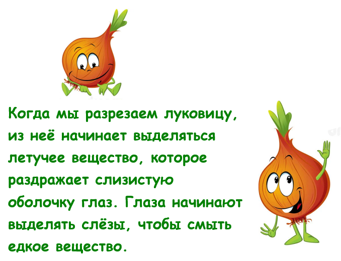 Лакриматор - это вещество, которое выделяется из лука при его разрезании.