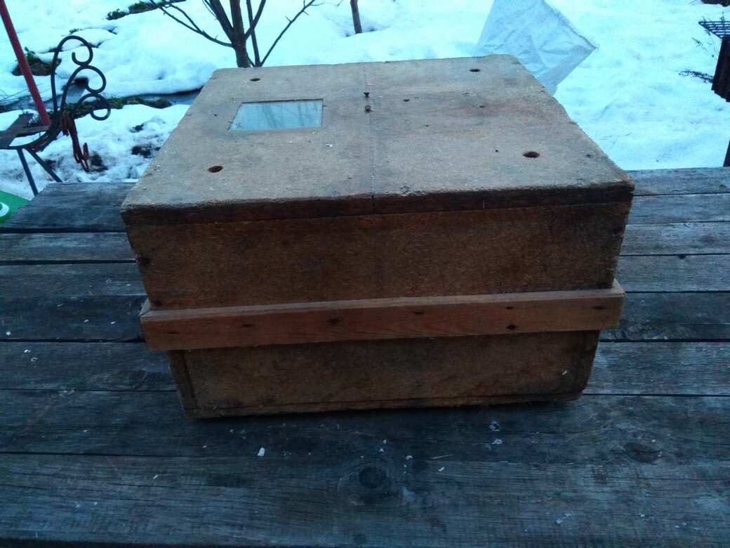 Мой первый инкубатор. Яйца в нём нагревались лампочкой, а терморегулятор был собран по схеме из какого-то старого журнала. Но он работал!