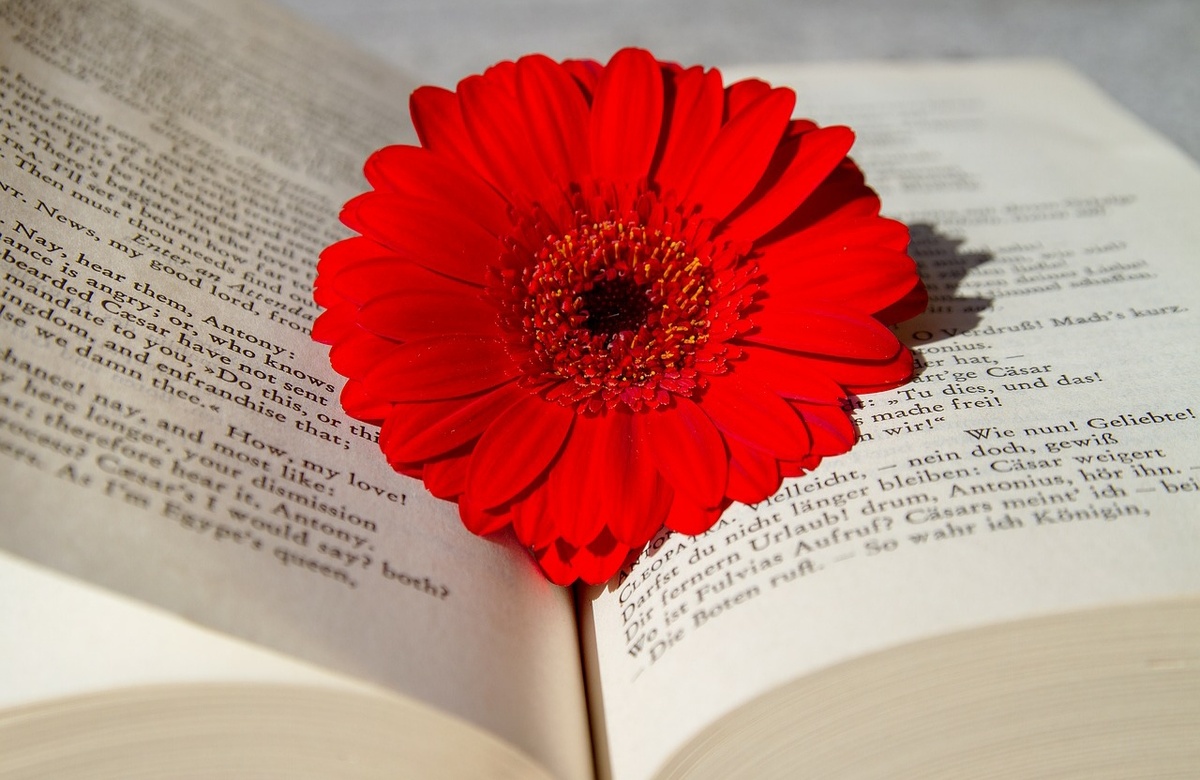 Читайте чаще