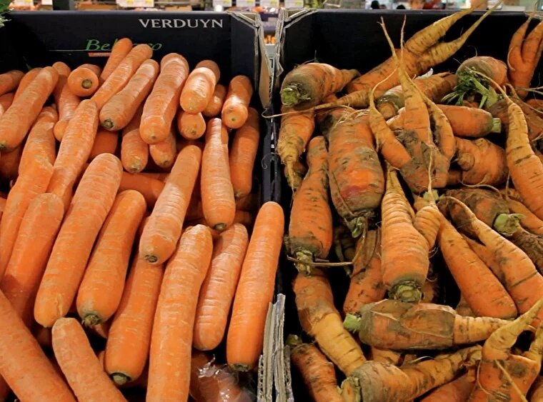 Пример выкладки идеальных и "Фу, каких" овощей