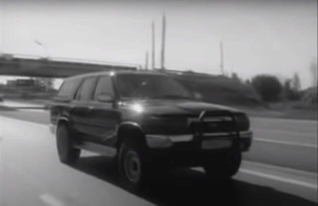 Выдры - настоящее стихийное бедствие. По ночам выходят из нор и перегрызают все! Даже проводку могут поесть. Кадр из клипа "Трасса Е 95".