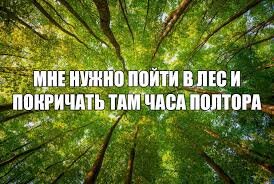 Картинка с просторов интернета