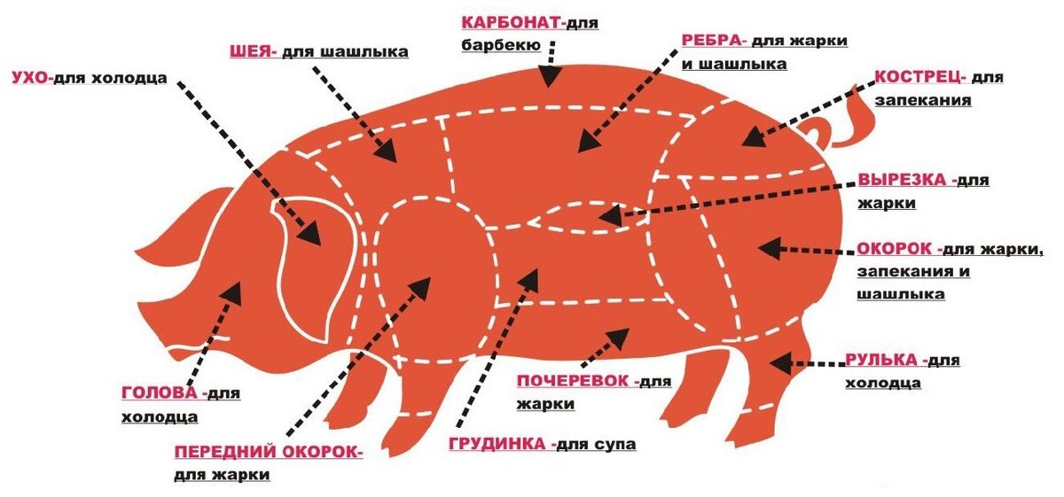 Части свиньи при разделке на картинке