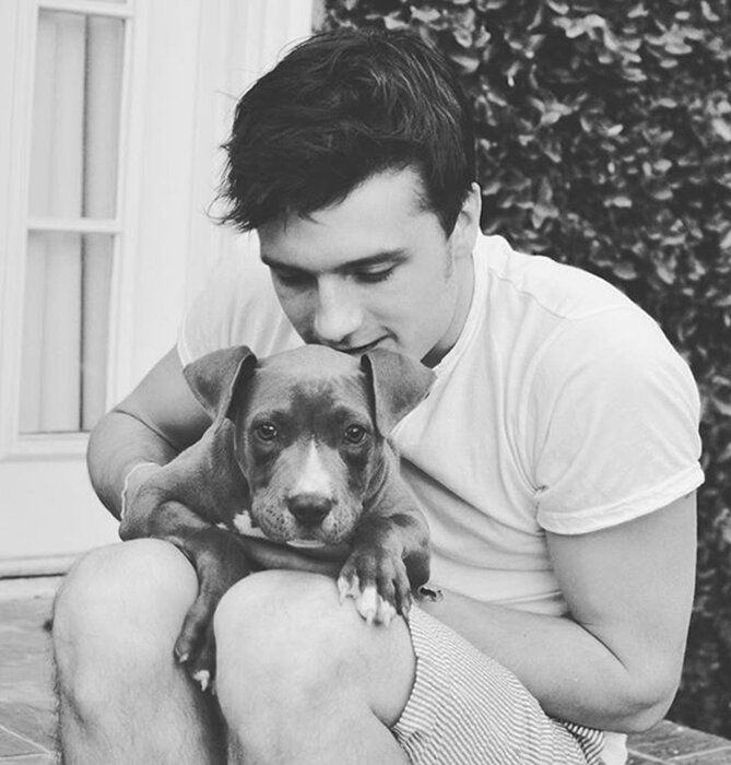 Джош Хатчерсон и Драйвер.