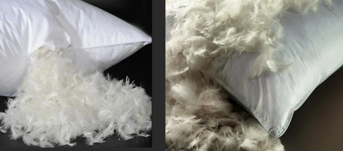 Добавьте описание