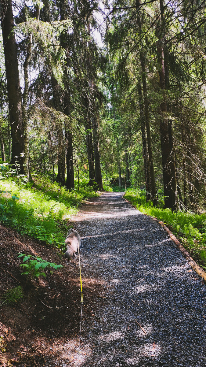 Долина водопадов, где нам удалось ощутить приятную прохладу в крайне жаркий день)