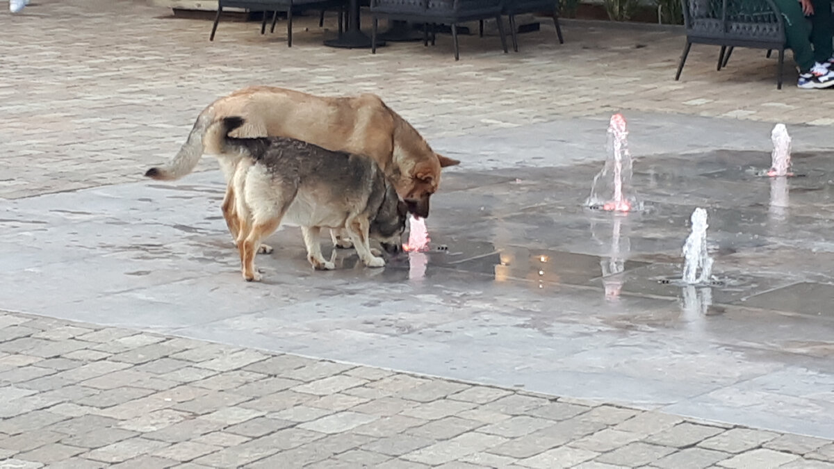 Кому фонтан, а кому воды напиться. Так же и у людей. 