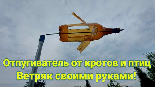 Отпугиватель кротов и землероек из пластиковой бутылки | Лучшие самоделки своими руками - Best DIY