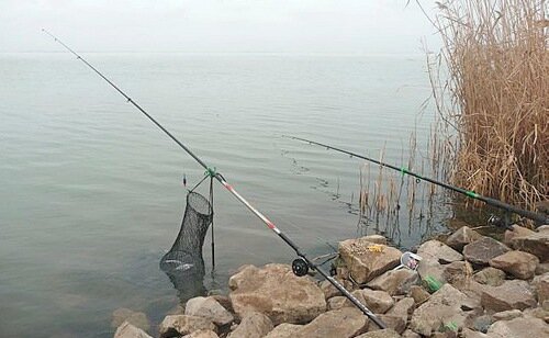 Ловля рыбы на фидер - советы и рекомендации для успешной рыбалки