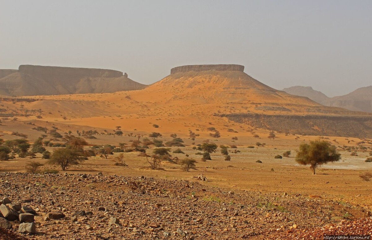 Мавритания.