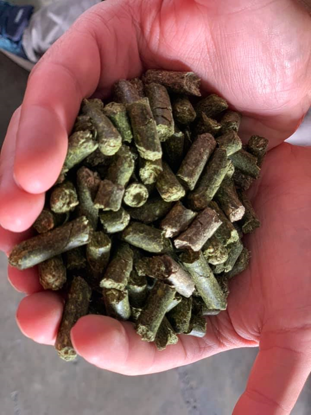 Пеллеты из люцерны.