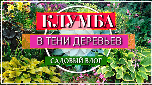 Как создать красивую клумбу своими руками - Советы ландшафтных дизайнеров