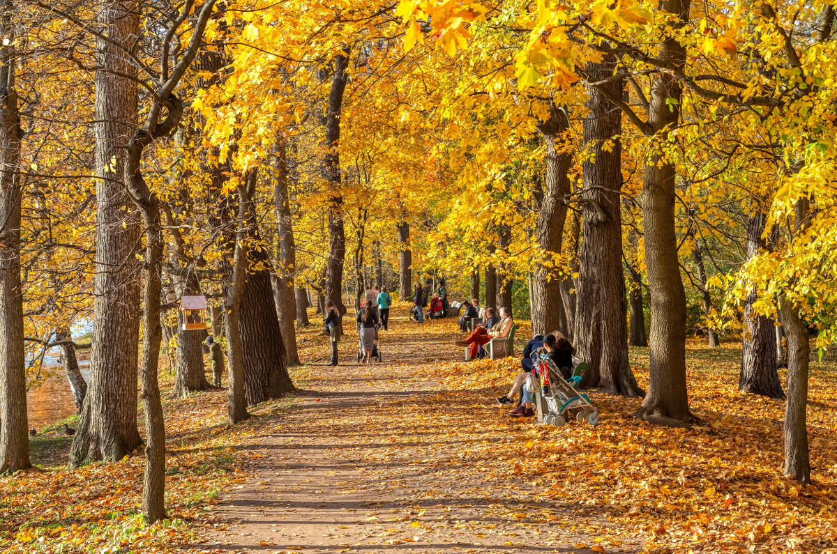 Фото Александра Дроздова