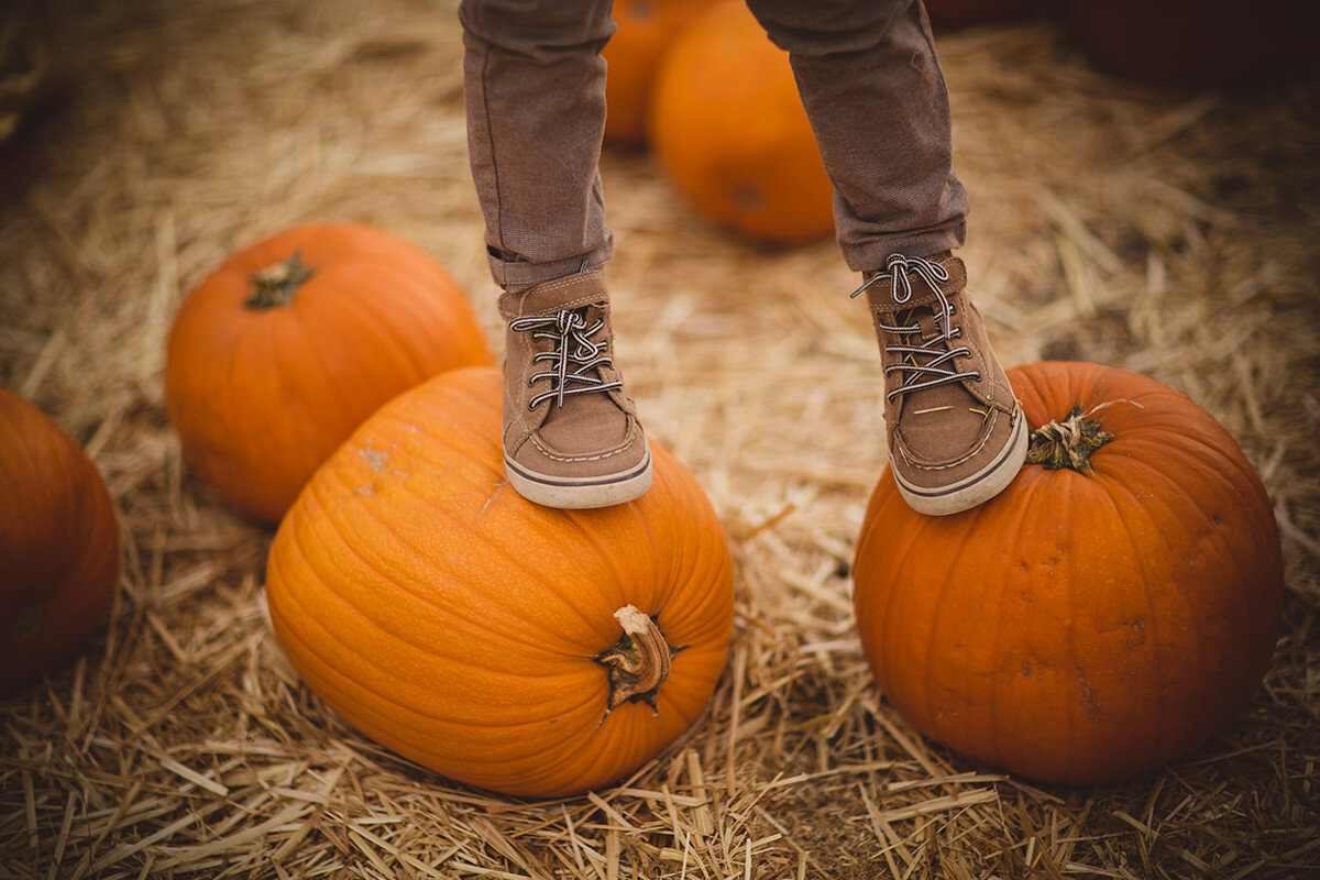 © Кэтрин Лейси Додд