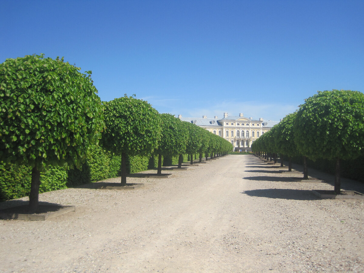 Фото из личного архива.
