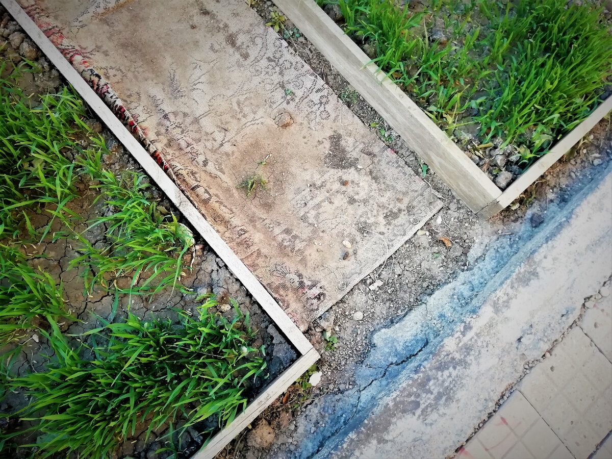 Так выглядят дорожки в сентябре