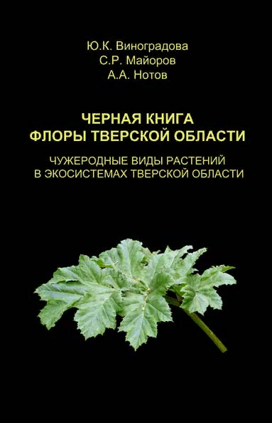 Лиственные деревья - самые популярные: фото, названия, описание, разновидности