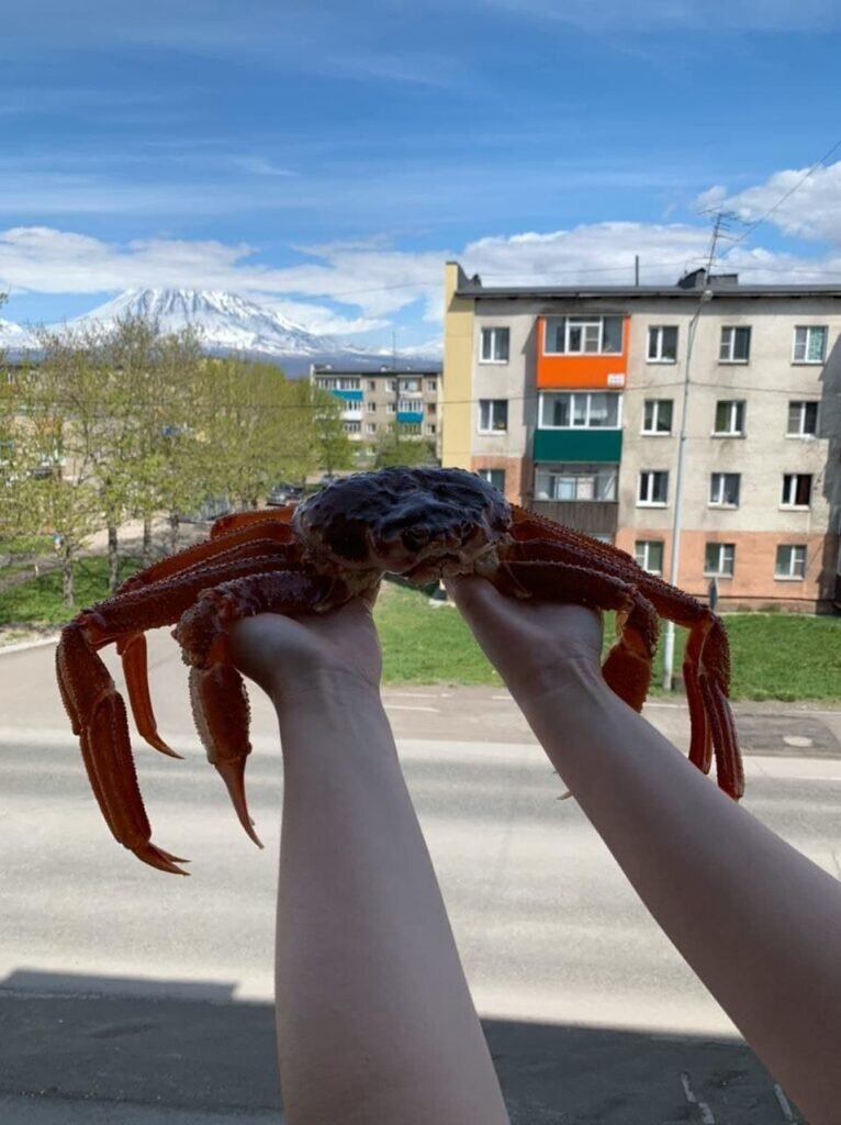 Эскорт Петропавловск-Камчатский, эскорт услуги в Петропавловске-Камчатском - insidersexx.ru