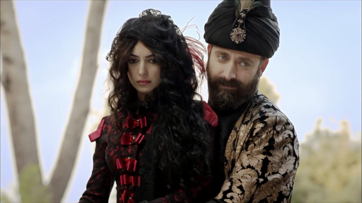 Чем дальше продвигался сюжет к финалу, тем сильнее я жалела Изабеллу. Было очевидно, что Хюррем сметет ее, как цунами... Непонятно,  на что она надеялась... Кадр из сериала