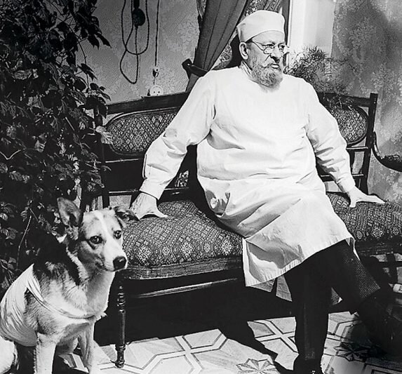 Кадры из фильма «Собачье сердце», 1988 год