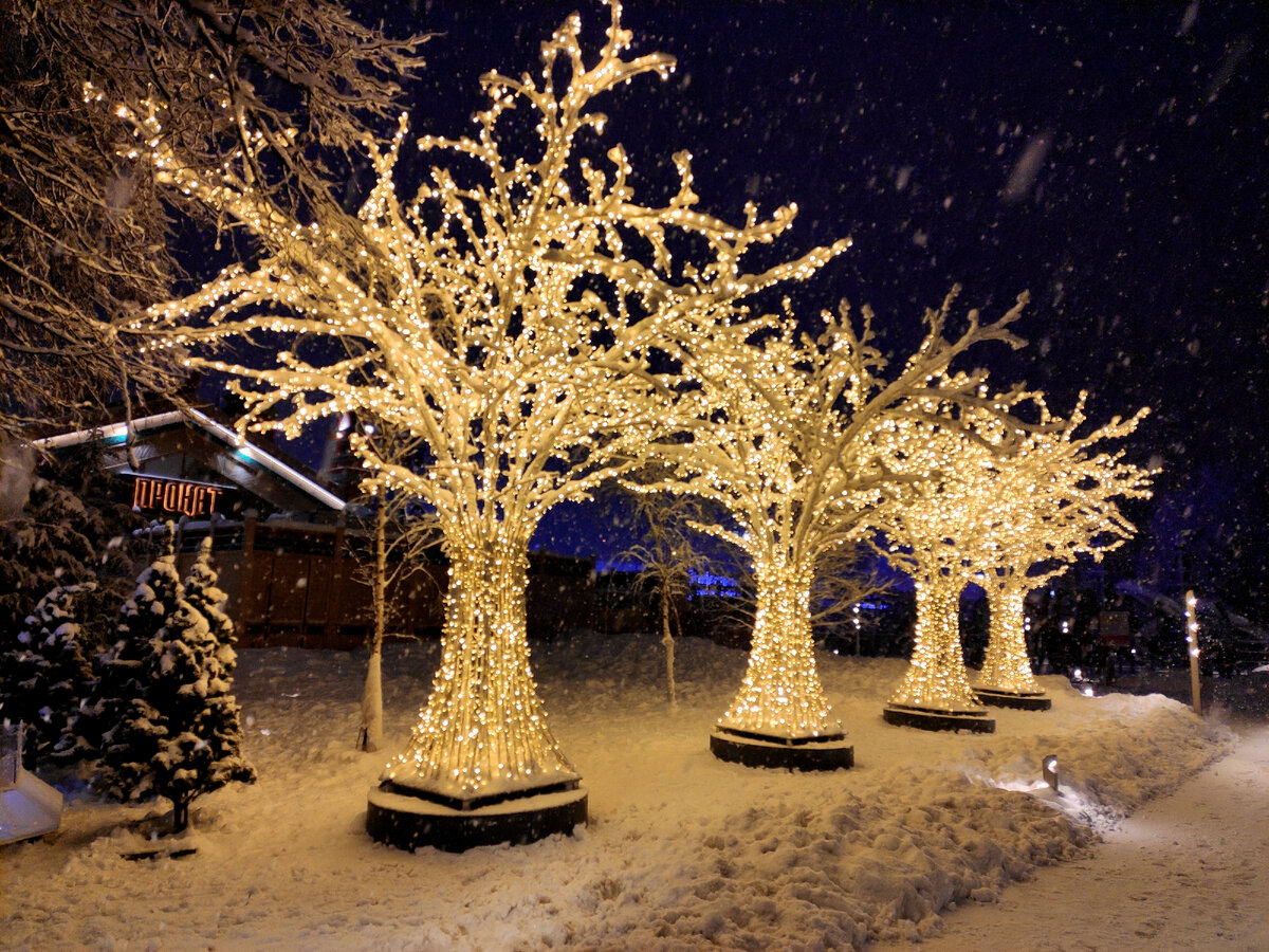 Москва, Теплый Стан (фото автора)