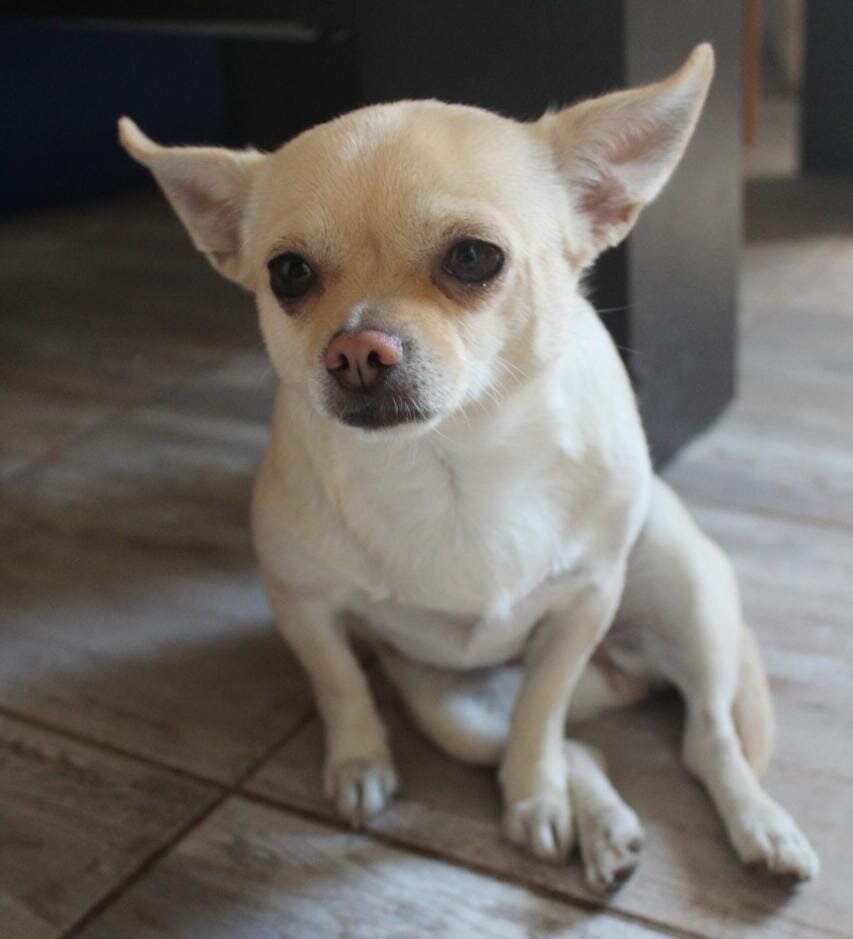 фото из личного архива