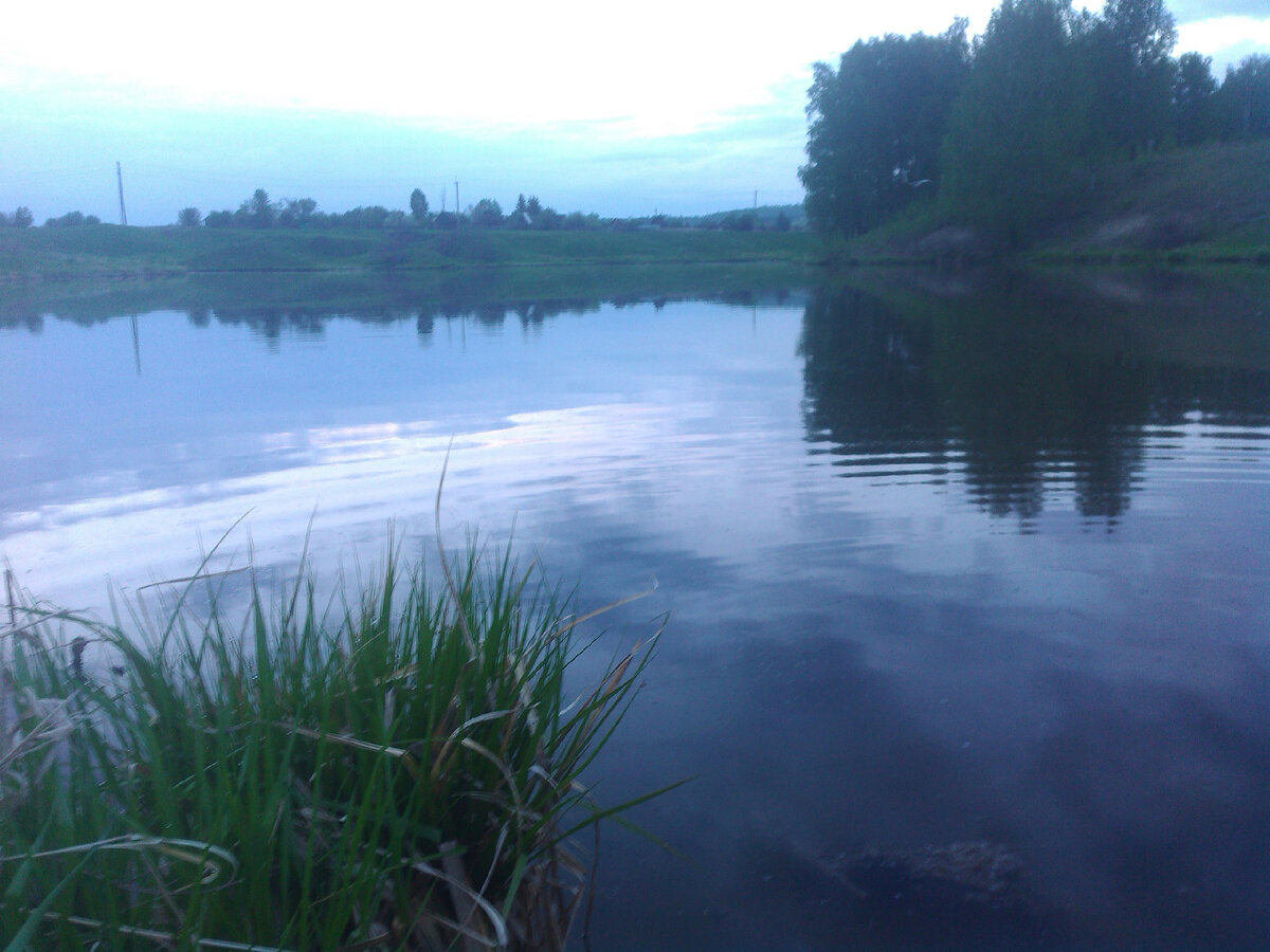 Сам прудик, фото старое