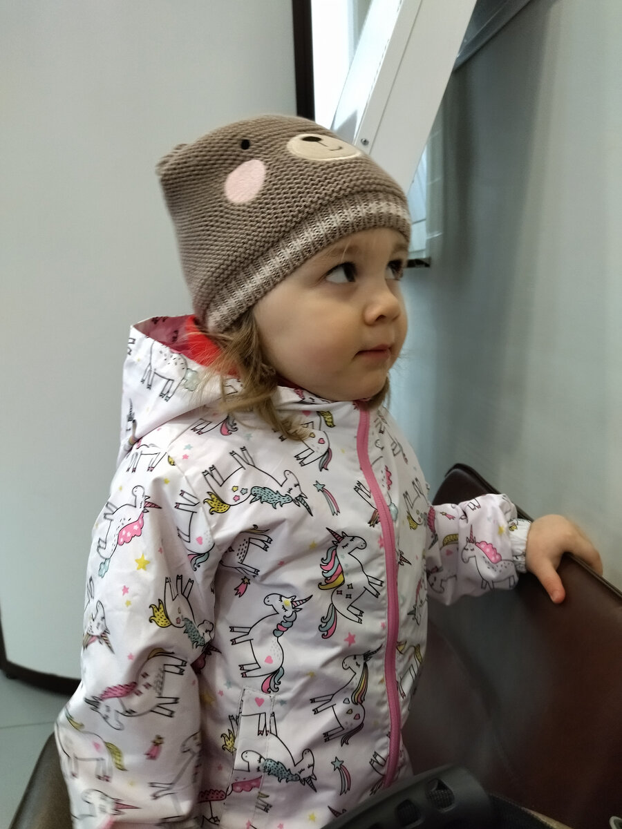 Не дали потрогать жалюзи. Цель осталась, Алиса ищет план обхода