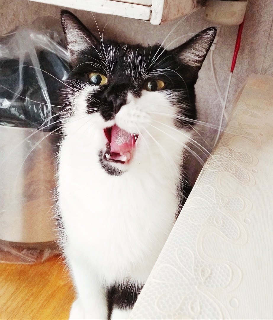 Фото автора. Глафира