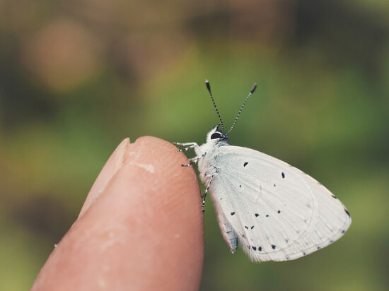     Фото: @wirestock, freepik.com